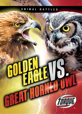 Golden Eagle Vs. Great Horned Owl (Animal Battles)