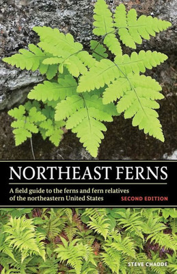 Northeast Ferns: A Field Guide To The Ferns And Fern Relatives Of The Northeastern United States