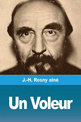 Un Voleur (French Edition)