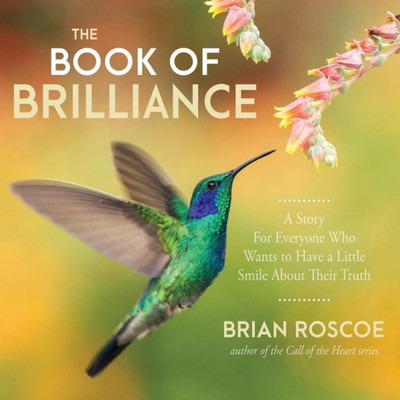 The Book Of Brilliance