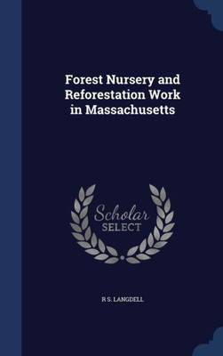 Forest Nursery And Reforestation Work In Massachusetts