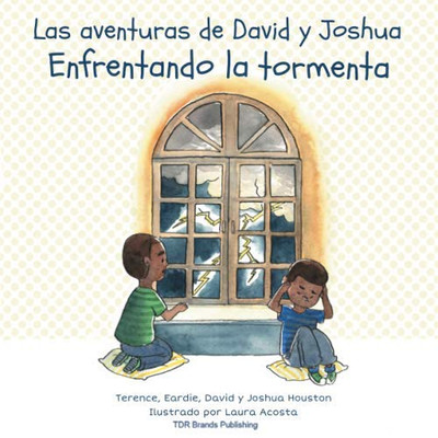 Enfrentando la tormenta (Las aventuras de David y Joshua) (Spanish Edition)