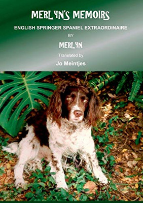 Merlyn's Memoirs: English Springer Spaniel Extraordinaire