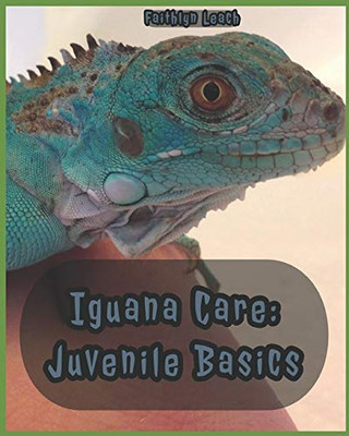 Iguana Care: Juvenile Basics
