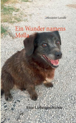 Ein Wunder Namens Molla: Eine Liebesgeschichte (German Edition)