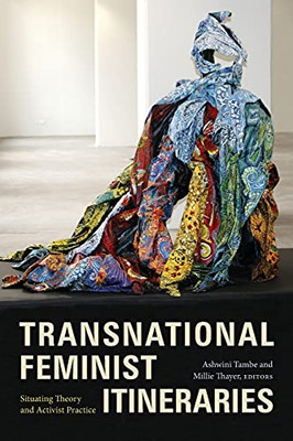 Transnational Feminist Itineraries: Situating Theory And Activist Practice (Next Wave: New Directions In Women'S Studies) (Paperback)