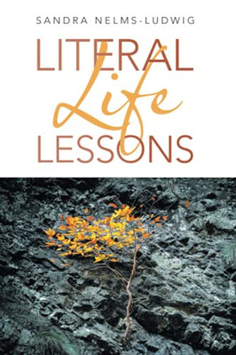 Literal Life Lessons - 9781489735720