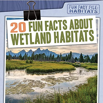20 Fun Facts About Wetland Habitats (Fun Fact File: Habitats) (Paperback)