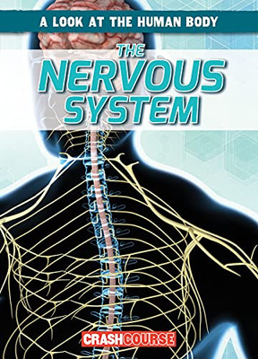 The Nervous System (A Look At The Human Body)