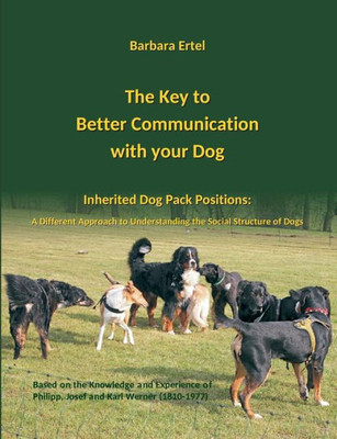 The Key To Better Communication With Your Dog