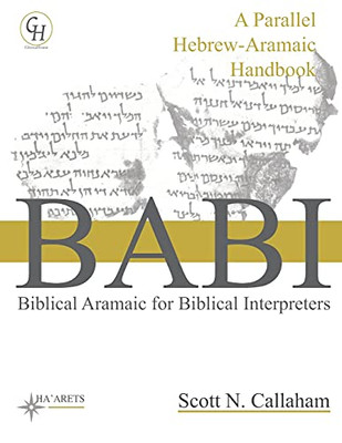 Biblical Aramaic For Biblical Interpreters: A Parallel Hebrew-Aramaic Handbook (Hebrew & Aramaic Accessible Resources For Exegetical And Theological Studies)