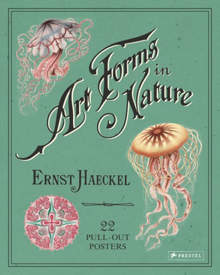 Art Forms In Nature: 22 Pull-Out Posters