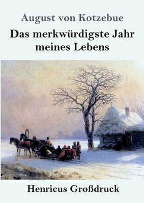 Das Merkwürdigste Jahr Meines Lebens (Großdruck) (German Edition)