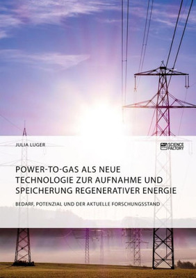Power-To-Gas Als Neue Technologie Zur Aufnahme Und Speicherung Regenerativer Energie. Bedarf, Potenzial Und Der Aktuelle Forschungsstand (German Edition)