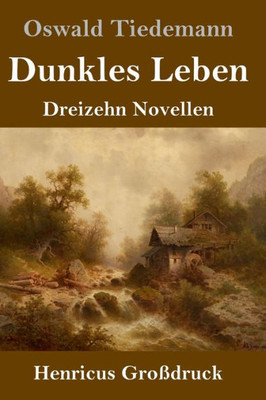Dunkles Leben (Großdruck): Dreizehn Novellen (German Edition)