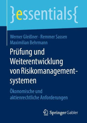 Prüfung Und Weiterentwicklung Von Risikomanagementsystemen: Ökonomische Und Aktienrechtliche Anforderungen (Essentials) (German Edition)