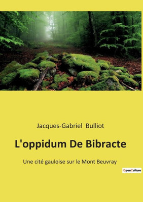 L'Oppidum De Bibracte: Une Cité Gauloise Sur Le Mont Beuvray (French Edition)