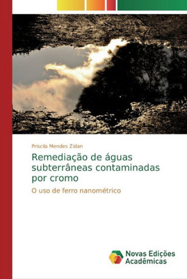 Remediação De Águas Subterrâneas Contaminadas Por Cromo: O Uso De Ferro Nanométrico (Portuguese Edition)