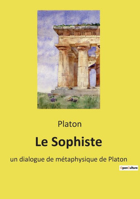 Le Sophiste: Un Dialogue De Métaphysique De Platon (French Edition)