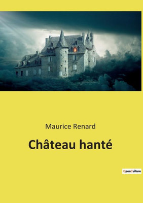 Château Hanté (French Edition)