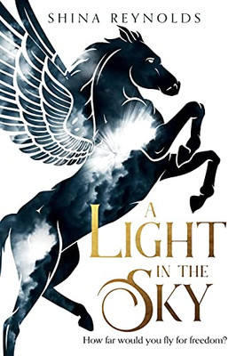 A Light In The Sky (Clashing Skies) (Paperback)