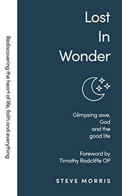 Lost In Wonder: Glimpsing Awe, God And The Good Life (Rediscovering Faith Life And Everything)