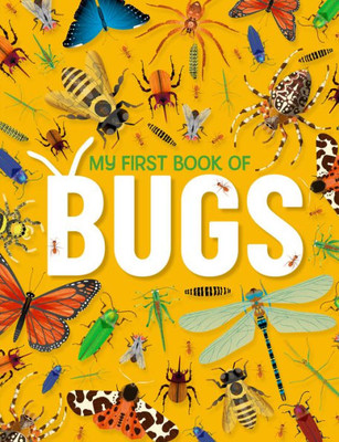 My First Book of Bugs : An Awesome First Look at Insects and Spiders