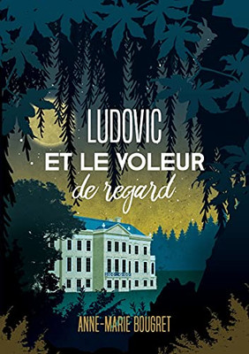 Ludovic Et Le Voleur De Regard (French Edition)