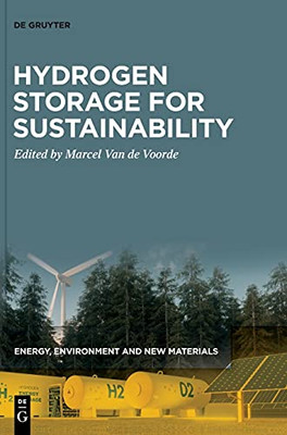Hydrogen Storage For Sustainability
