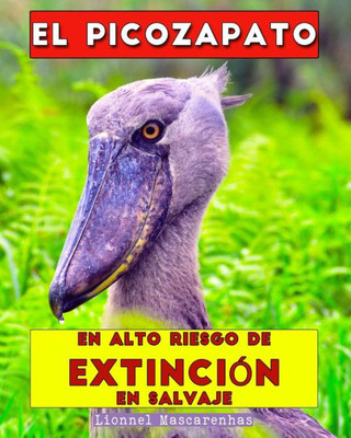 El picozapato : En alto riesgo de extinción en salvaje