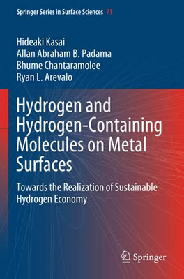 Hydrogen And Hydrogen-Containing Molecules On Metal Surfaces: Towards The Realization Of Sustainable Hydrogen Economy (Springer Series In Surface Sciences)