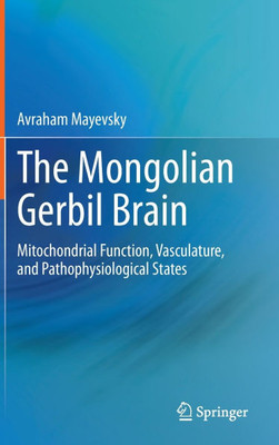 The Mongolian Gerbil Brain : Mitochondrial Function, Vasculature, and Pathophysiological States