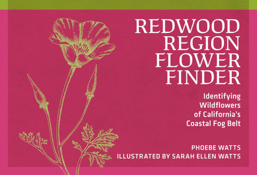 Redwood Region Flower Finder: Identifying Wildflowers of California's Coastal Fog Belt