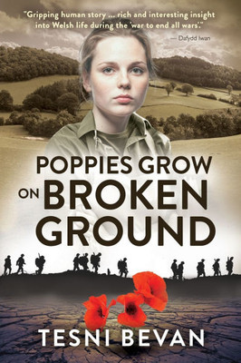 Poppies Grow on Broken Ground