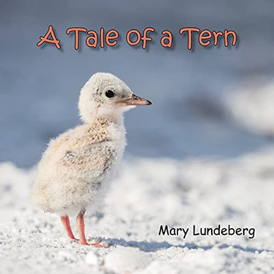 A Tale Of A Tern