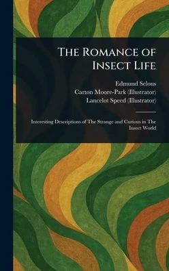 The Romance of Insect Life - (Hardback or Cased Book)