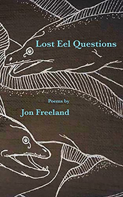 Lost Eel Questions