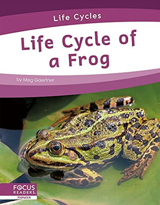Life Cycle Of A Frog Life Cycle Of A Frog