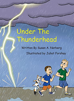 Under The Thunderhead