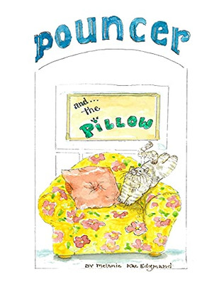 Pouncer And The Pillow