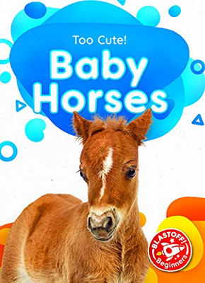 Baby Horses (Too Cute!)