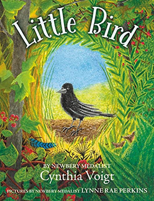 Little Bird - 9780062996909