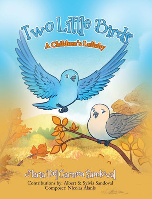 Two Little Birds: A Children's Lullaby - (Hardback or Cased Book)