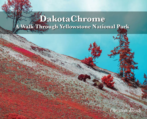 DakotaChrome: A Walk Through Yellowstone National Park