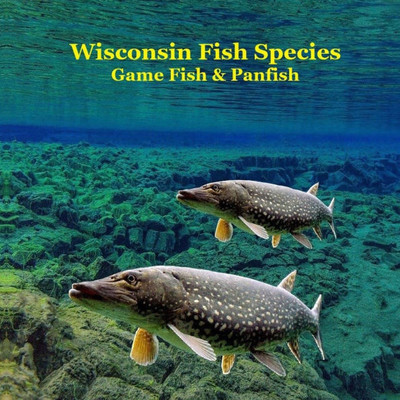 Wisconsin Game Fish and Panfish Species Kids Book: Great Book About the Different Types of Fish in Wisconsin