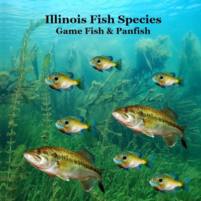 Illinois Game Fish and Panfish Species Kids Book: Great Book About the Different Types of Fish in Illinois