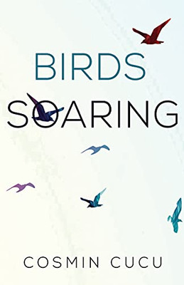 Birds Soaring - 9781800740921