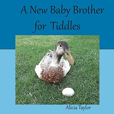 A New Baby Brother For Tiddles
