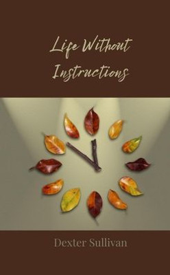 Life Without Instructions - (Paperback or Softback)