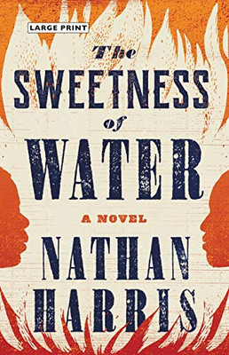 The Sweetness Of Water: A Novel